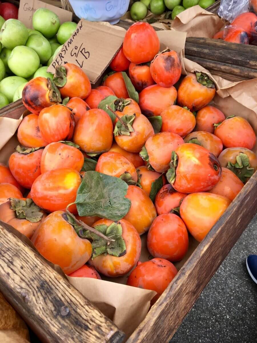 Mediterranean Persimmon White Bean Kale Salad